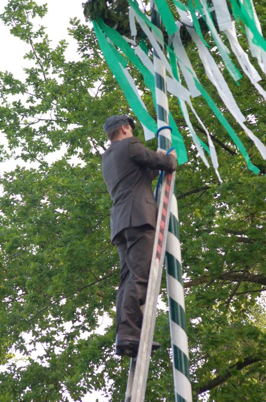 1_(12).jpg